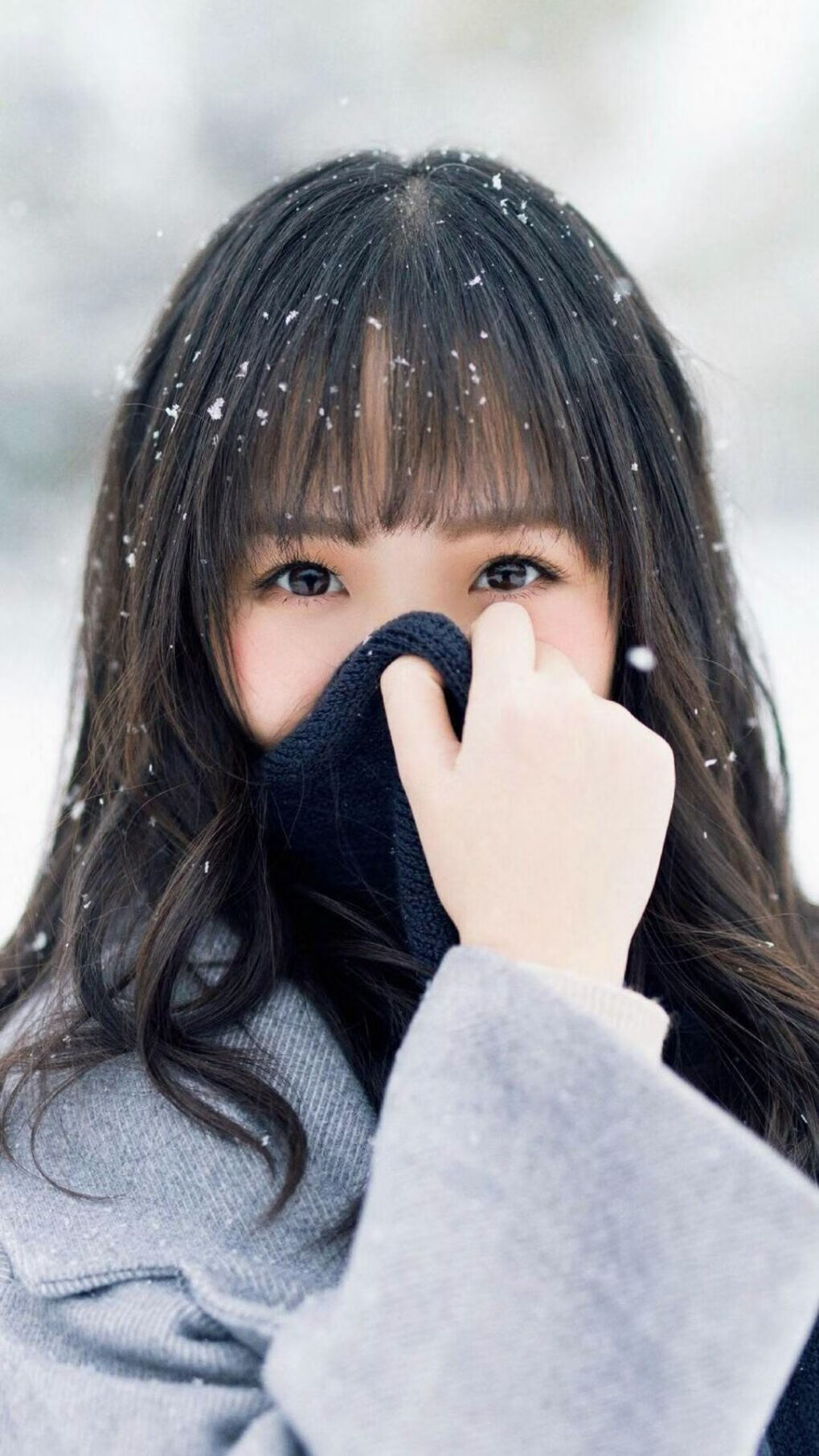 弗赖堡防线神勇，迎来联赛新高潮，弗赖堡位置